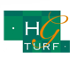 HG Turf